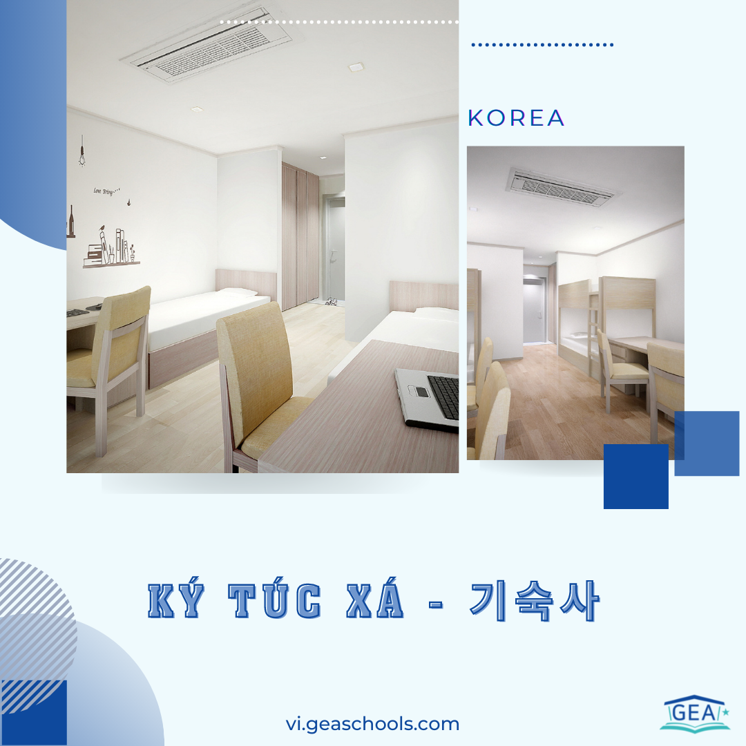 Lựa chọn nơi ở là kí túc xá hoặc thuê nhà khi du học Hàn Quốc cũng cần thật cẩn trọng