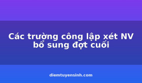 Cac-truong-cong-lap-xet-NV-bo-sung-dot-cuoi_C254_D8123