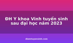 DH-Y-khoa-Vinh-tuyen-sinh-sau-dai-hoc-nam-2023_C109_D17219
