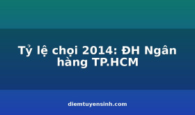 Ty-le-choi-2014-DH-Ngan-hang-TPHCM_C275_D10081