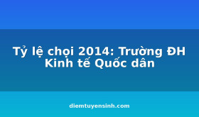 Ty-le-choi-2014-Truong-DH-Kinh-te-Quoc-dan_C275_D10138