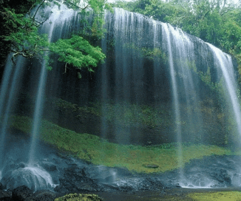 Truong-Trung-cap-nghe-Di-An_C75_D5894