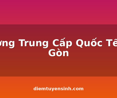 Truong-Trung-Cap-Quoc-Te-Sai-Gon_C73_D15434