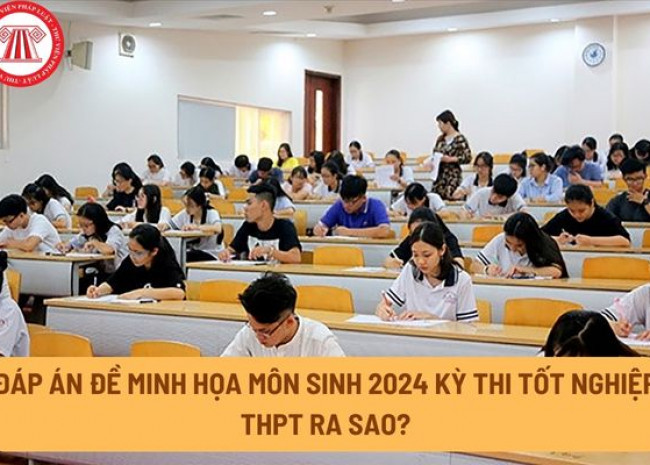 Đề thi và đáp án môn Sinh Học kỳ thi tốt nghiệp THPT 2024 full 24 mã đề