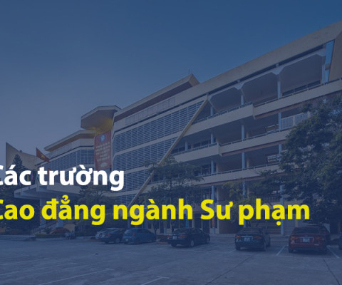 Các Trường Cao đẳng đào tạo ngành Sư phạm