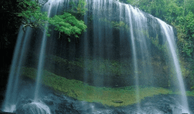 Truong-Trung-cap-nghe-Di-An_C75_D5894
