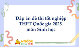 Đáp án môn Sinh Học kỳ thi tốt nghiệp THPT 2025 full 48 mã đề (tham khảo)