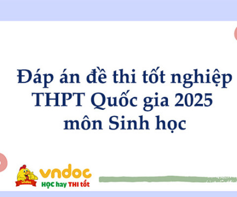 Đáp án môn Sinh Học kỳ thi tốt nghiệp THPT 2025 full 48 mã đề (tham khảo)